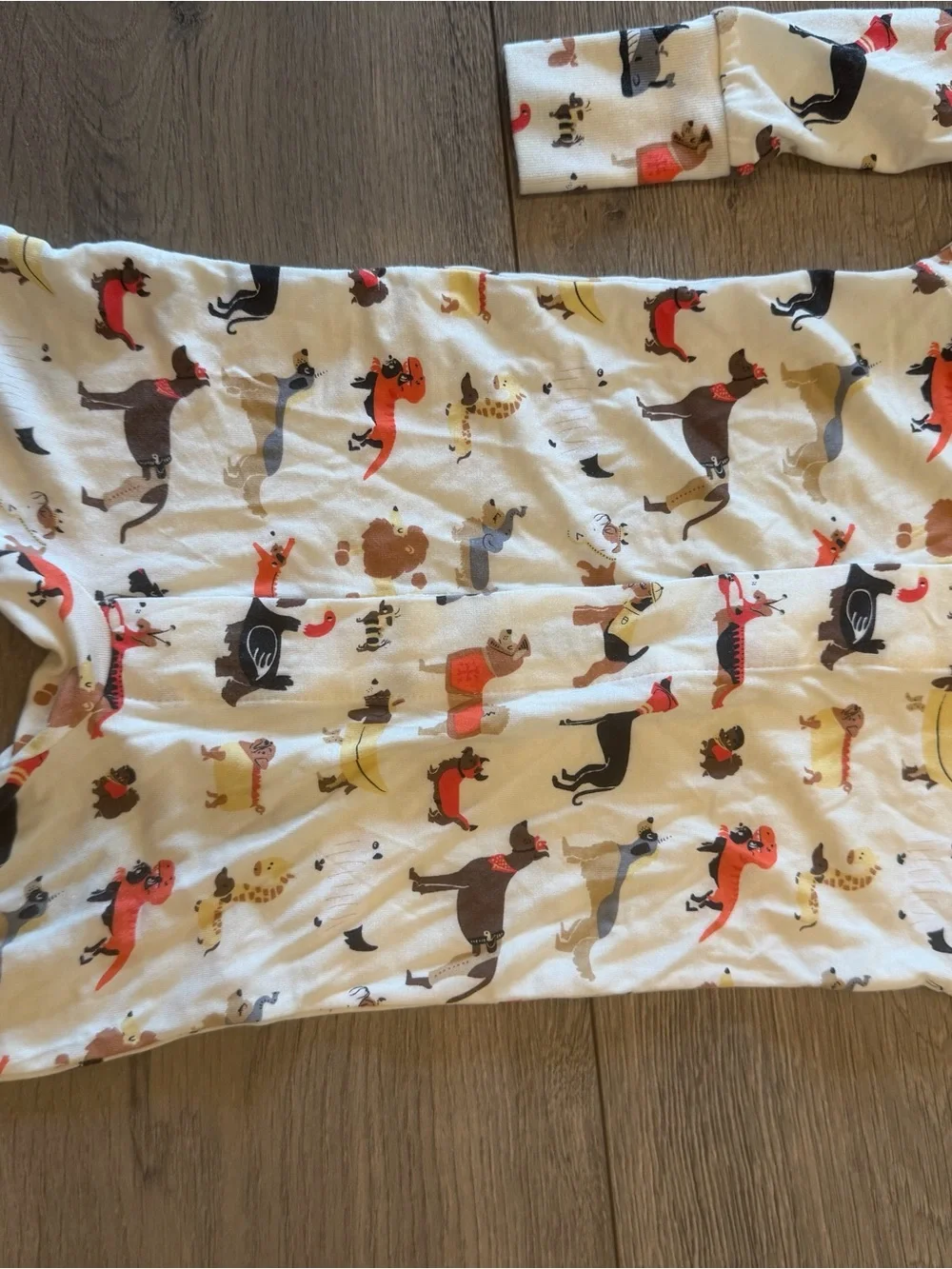 NWOT - Magnetic Me Halloween Dog Footed Onesie